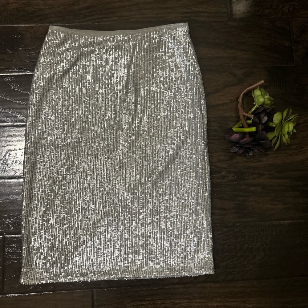 Ann Taylor skirt